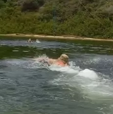 Imagem reprodução de vídeo: PatosVerdade