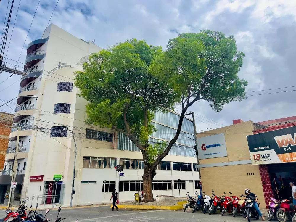 Foto: Secom - Prefeitura de Patos