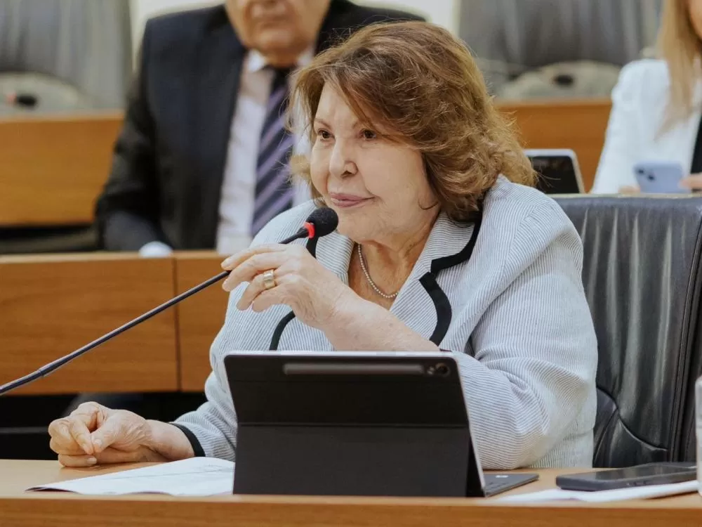 Deputada estadual Francisca Motta - Foto: Assessoria