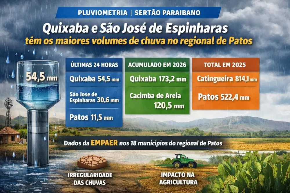 Arte visual - PatosVerdade 