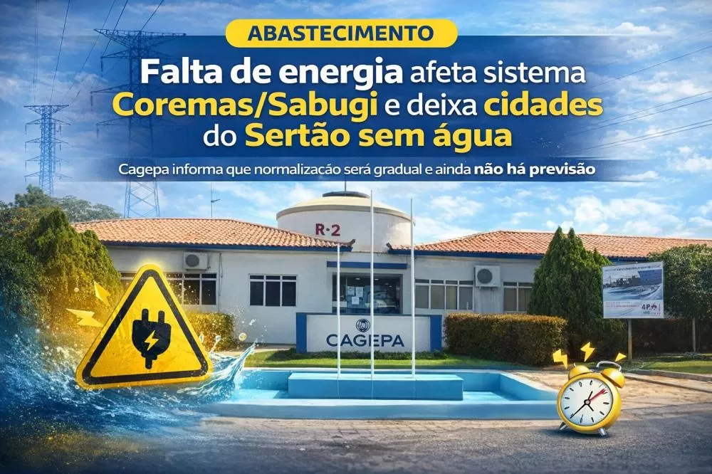 Arte visual - PatosVerdade 