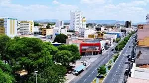 Patos - Foto: Reprodução