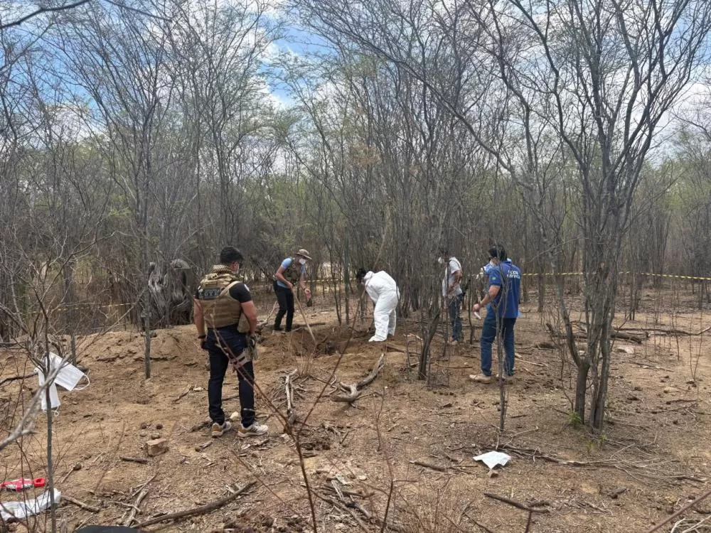 Foto: Polícia Civil/Divulgação