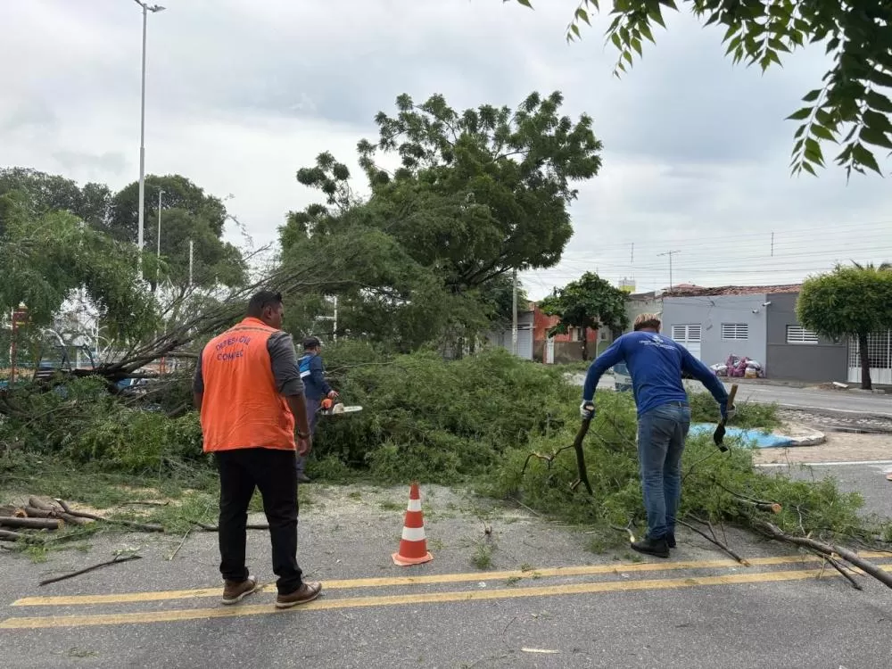 Foto: Secom - Prefeitura de Patos