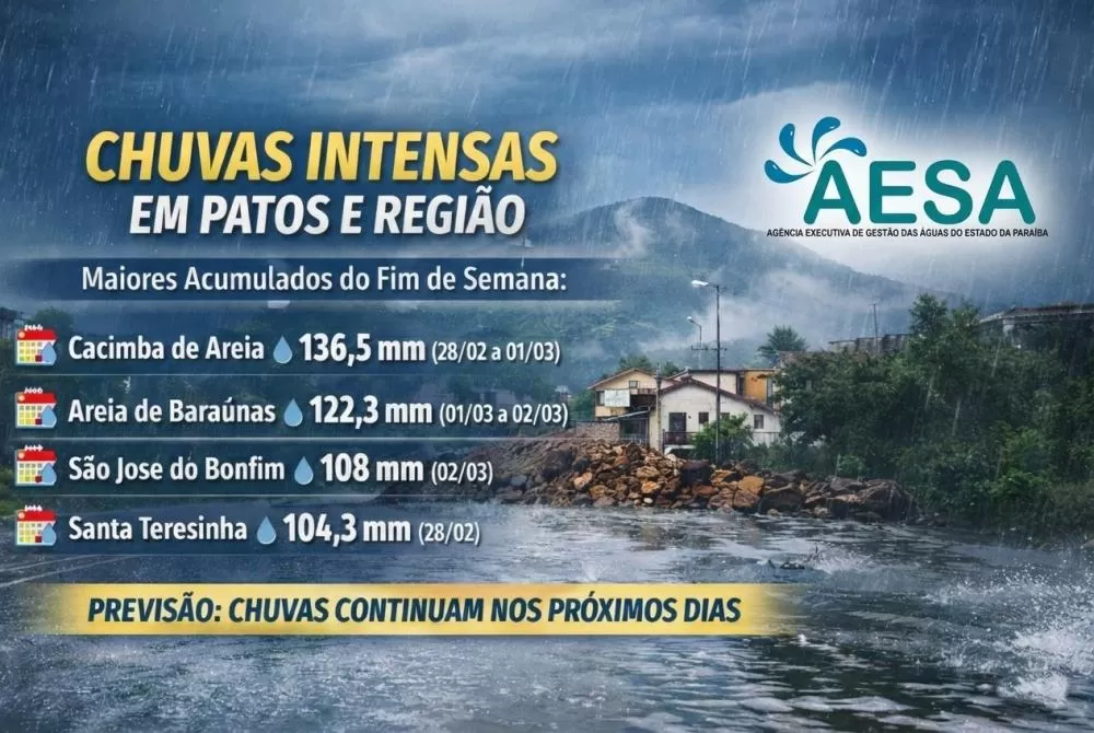 Arte visual - PatosVerdade 