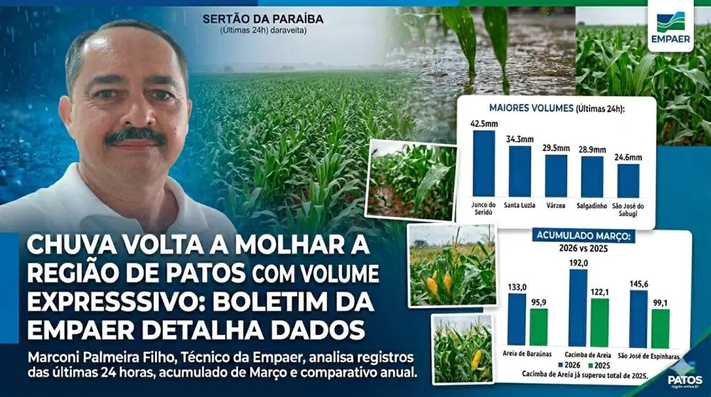 Arte visual - PatosVerdade com uso da IA