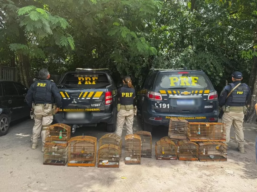 Foto: PRF/Divulgação