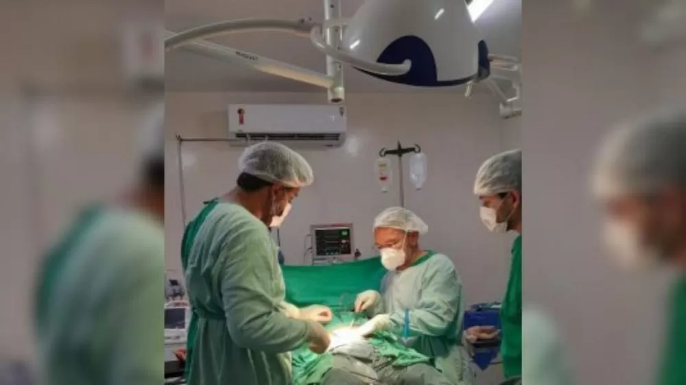 Foto: Assessoria / Montagem Patosverdad