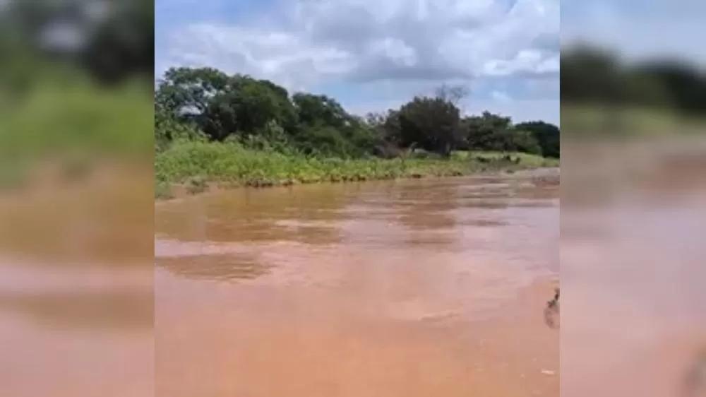 Rio da Farinha, em Cacimba de Areia, nesta manhã de segunda-feira (16) - Foto: Reprodução