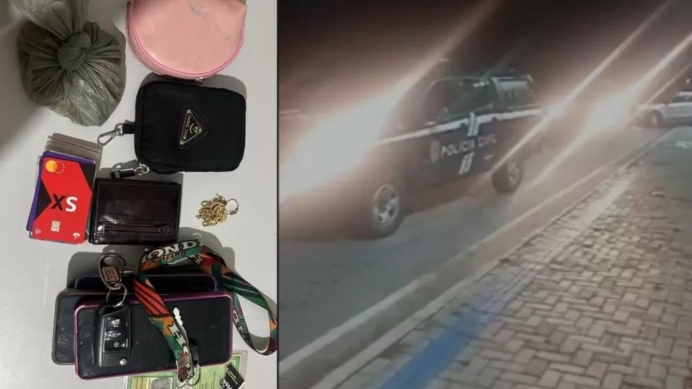 Fotos: Polícia Civil/Divulgação