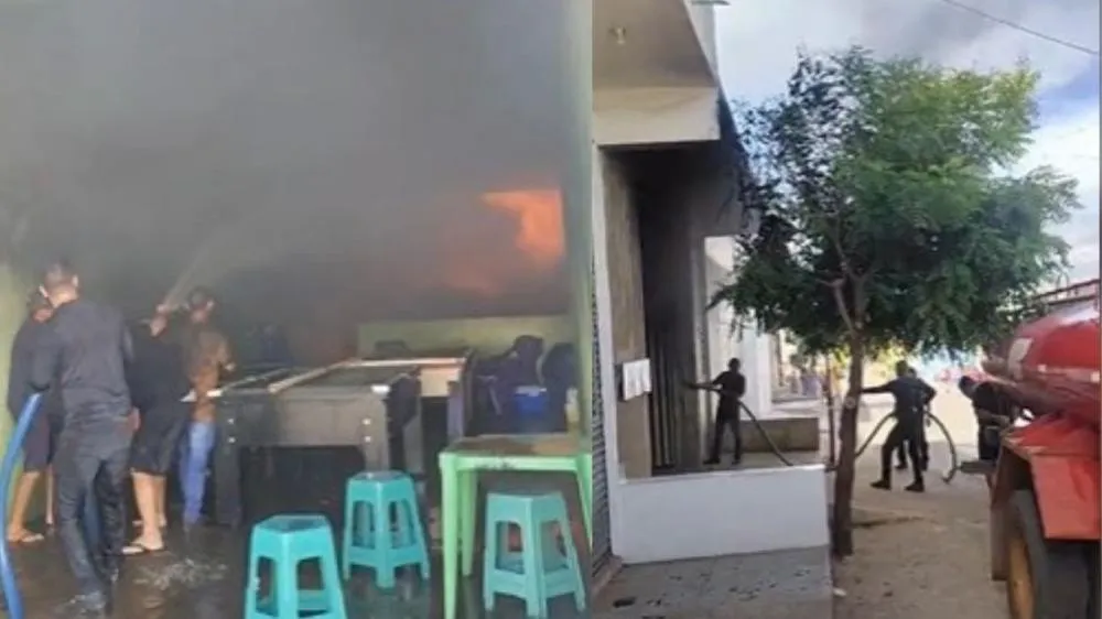 Fotos: Polícia Civil / Reprodução