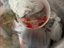 Exames confirmam bactérias em alimentos de pizzaria em Pombal