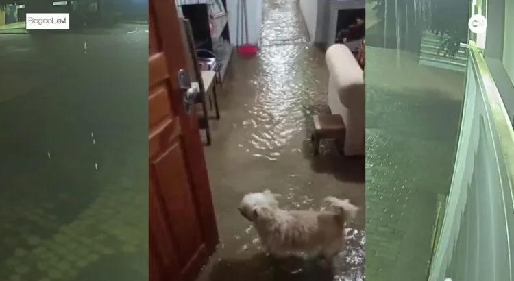 VÍDEO: Canal transborda e alaga bairros em Sousa