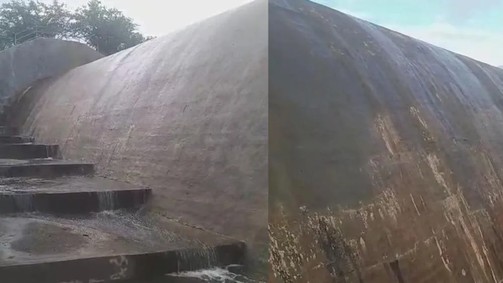 Fotos: Marconi Palmeira / Montagem Patosverdade