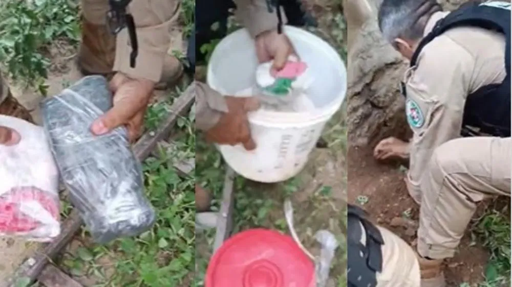 Fotos: Reprodução / Montagem Patosverdade