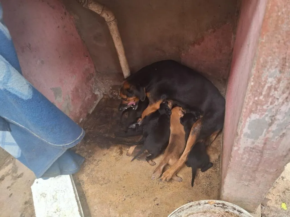 Foto: Polícia Civil da Paraíba