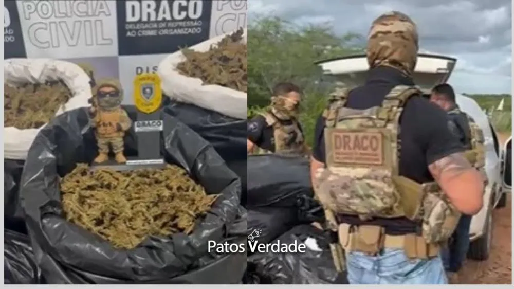 Fotos: Polícia Civil / Montagem Patosverdade