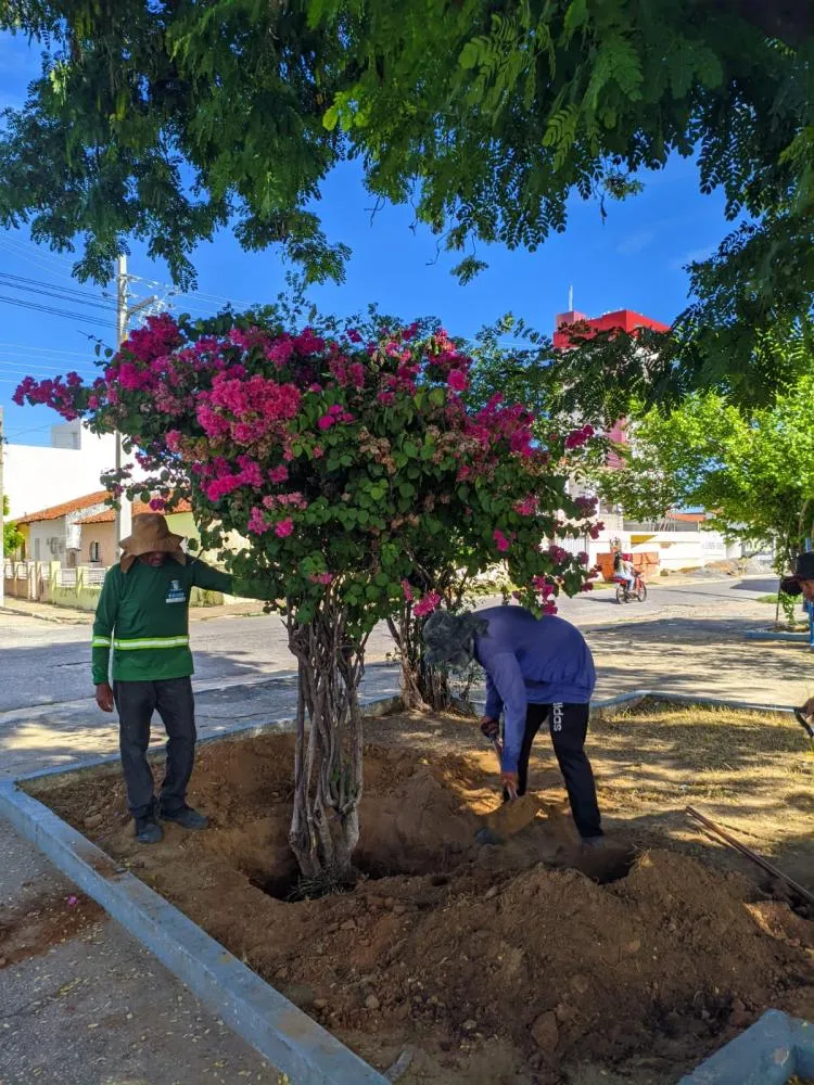 Foto: Secom - Prefeitura e Patos