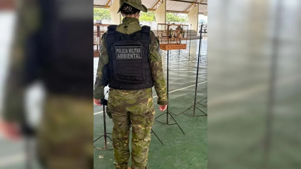 Foto: Polícia Ambiental