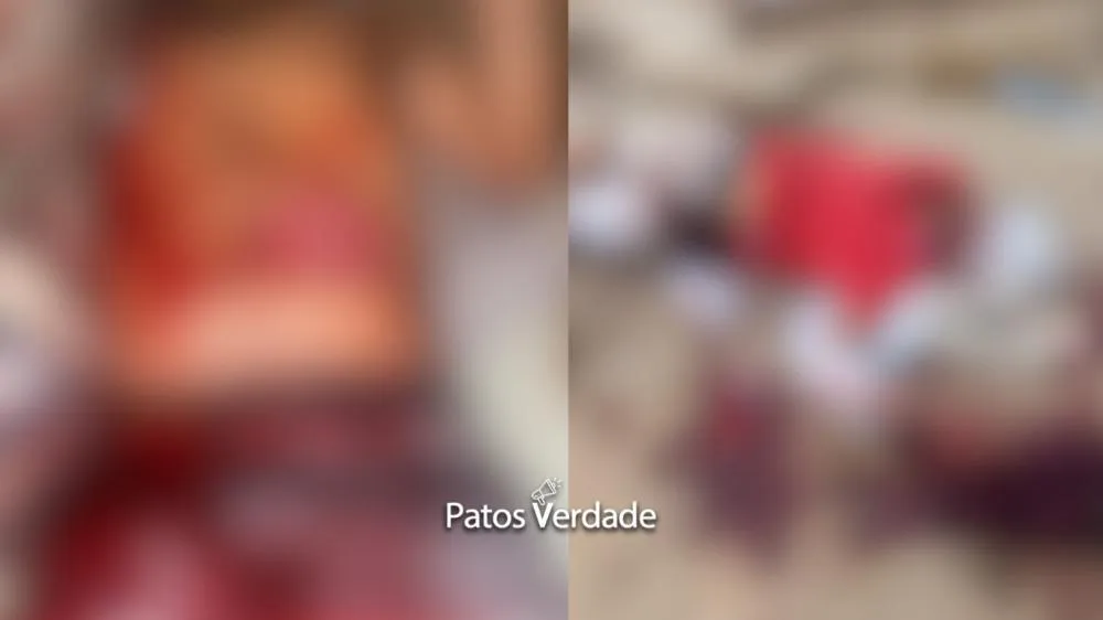 Fotos: Redes sociais / Desfolque Patosverdade