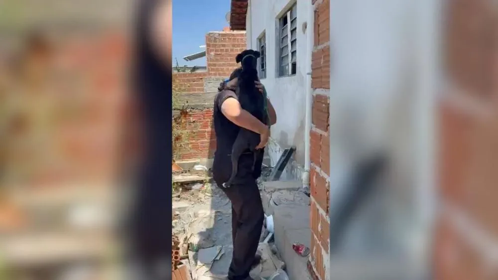 Polícia Militar e Canil de Patos resgatam animal - Foto: Ascom 3º BPM