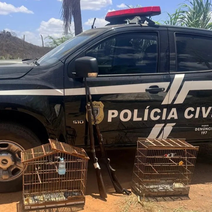 Aves, espingardas e materiais de caça - Foto: 16ª DSPC