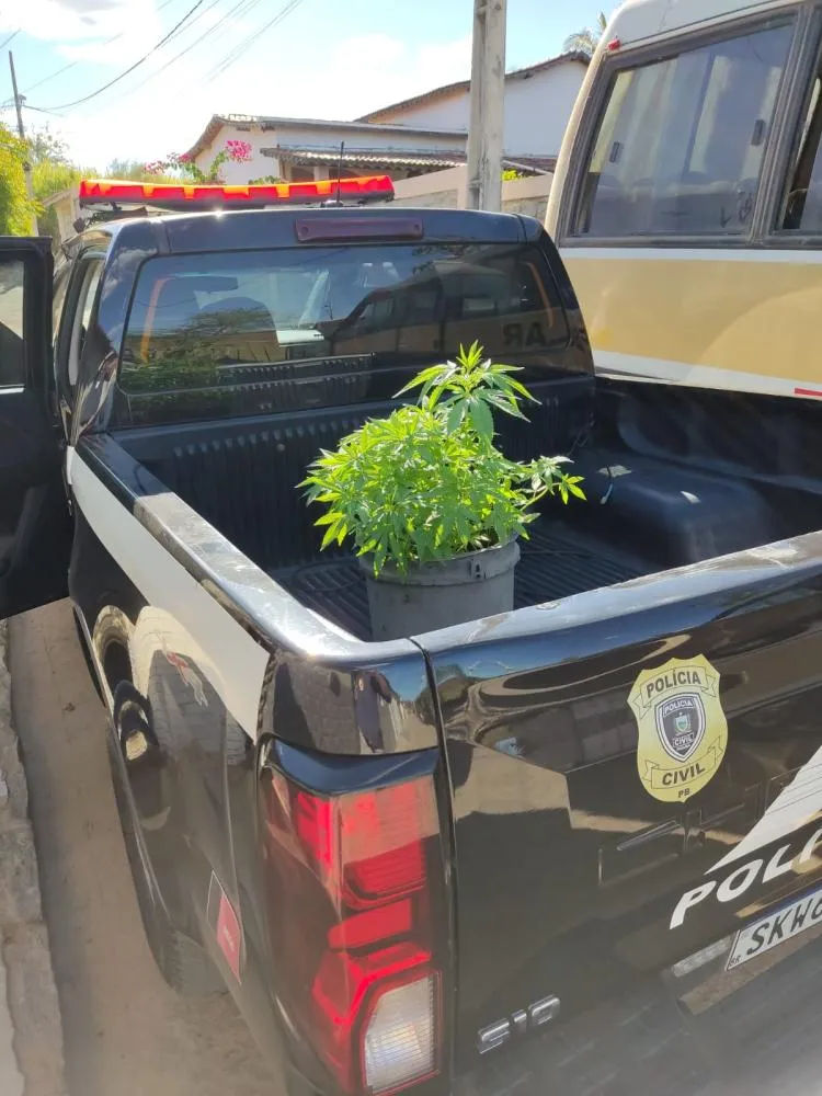 Foto: Assessoria/Polícia Civil