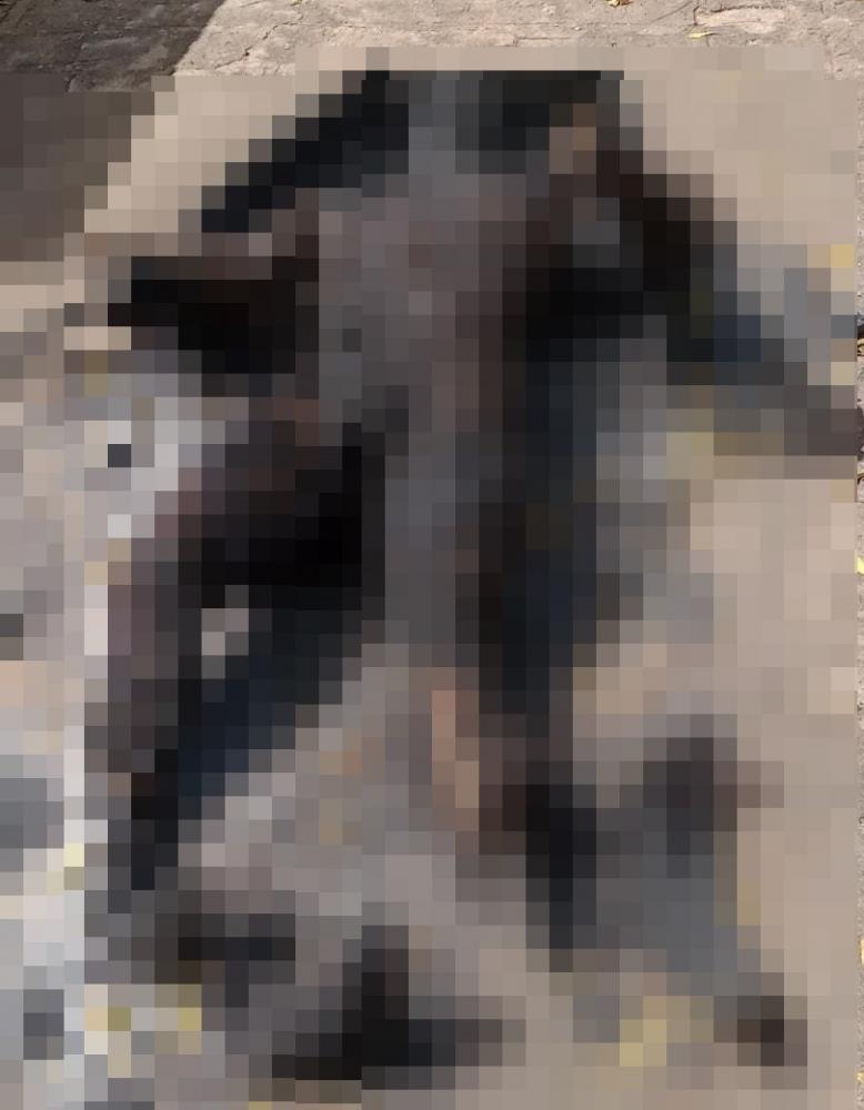 Imagem: Redes Sociais