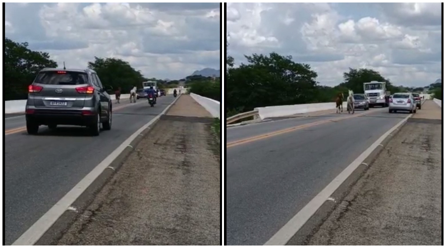 Foto: Folha Patoense