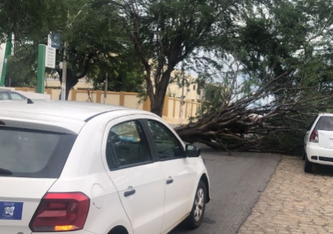 Foto: divulgação/Coordecom