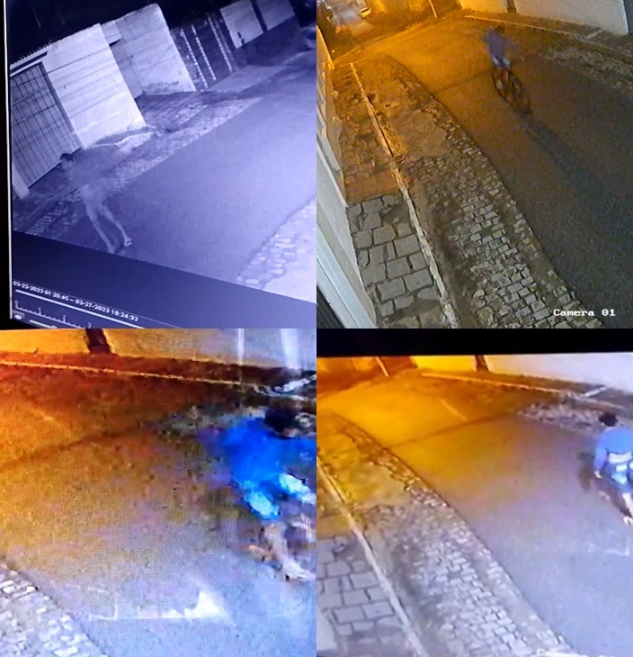 Edição de imagens: Airton Alves