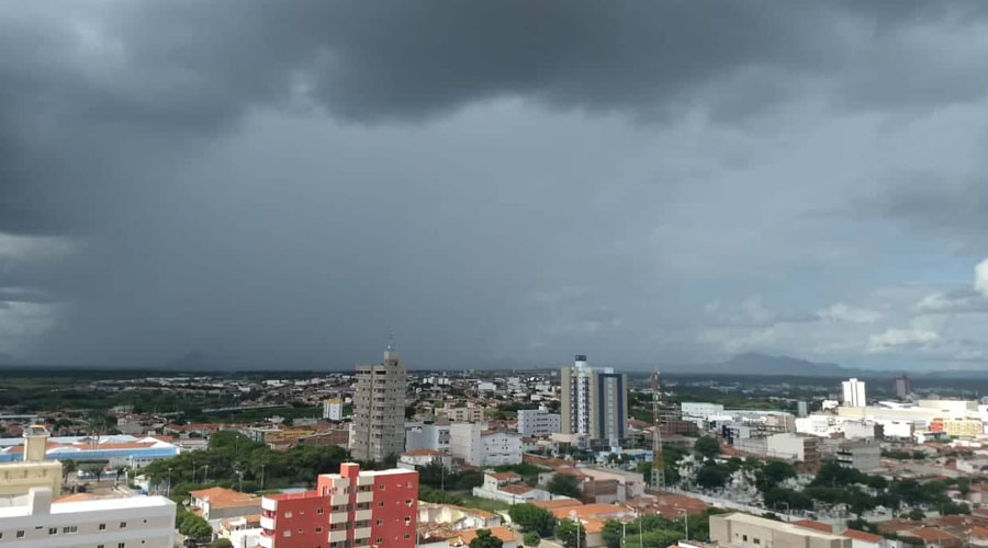 Patos (Foto: Reprodução/Google)