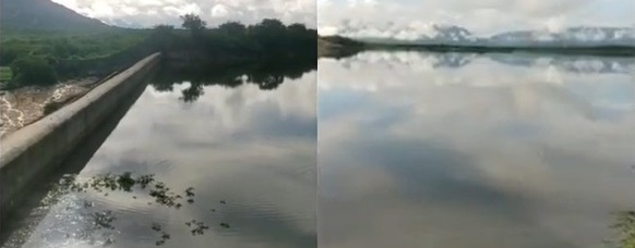 Foto: Edição de Imagens Airton Alves/Patosverdade