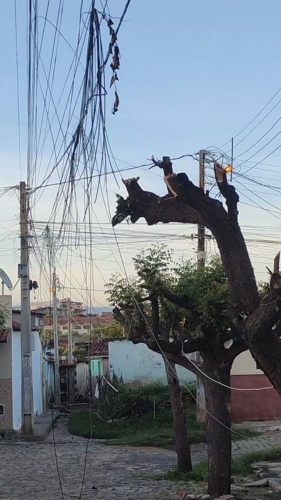 Foto: Divulgação/Enviada por morador 