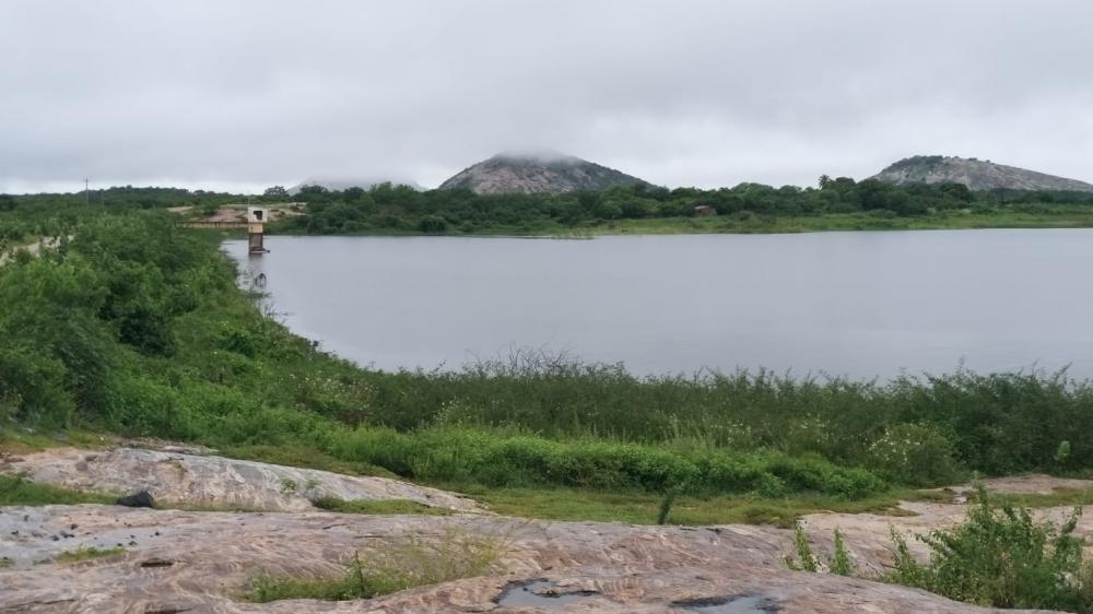 Foto: Marcone Palmeira/Empaer﻿