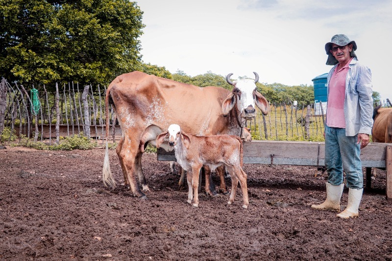 Foto: Divulgação/Coordecom