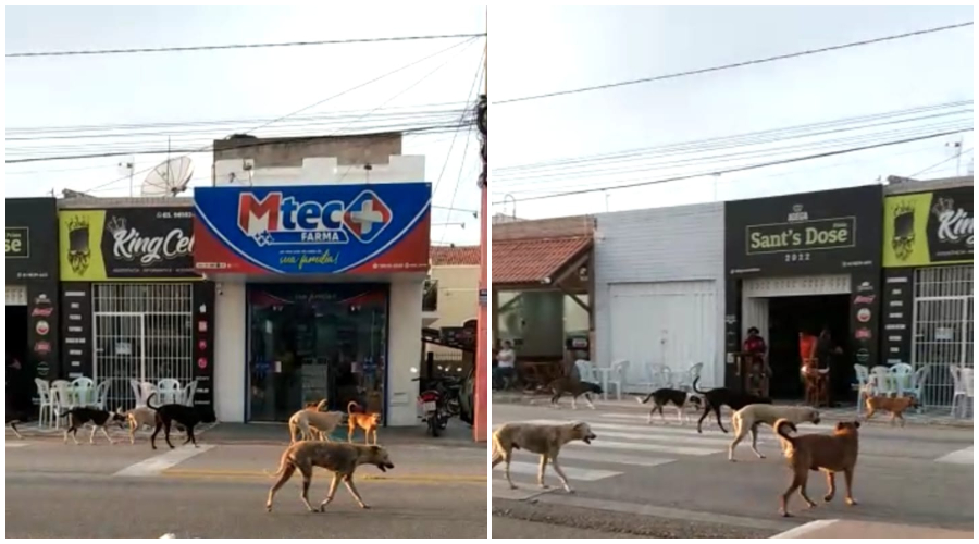 Foto: Produção/Folha Patoense