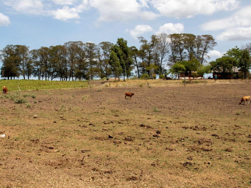 Imagem ilustrativa | Foto: Fábio Pozzebom/Agência Brasil