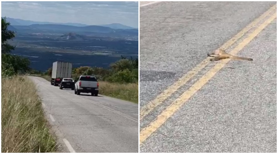 Fotos: Wagner Almeida