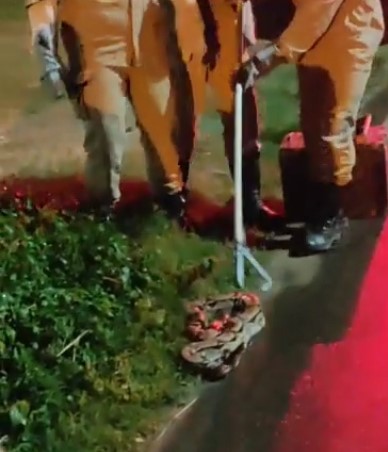 Foto: Reprodução/Patosverdade