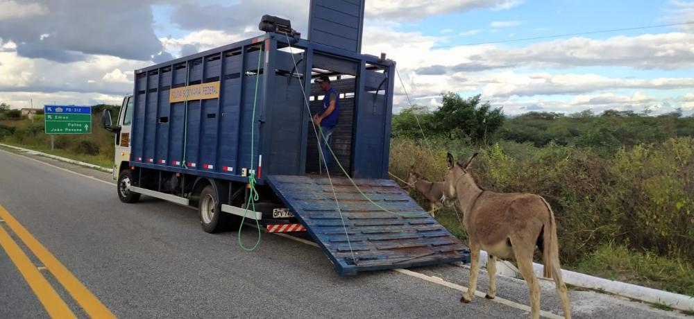 Foto: Divulgação/PRF
