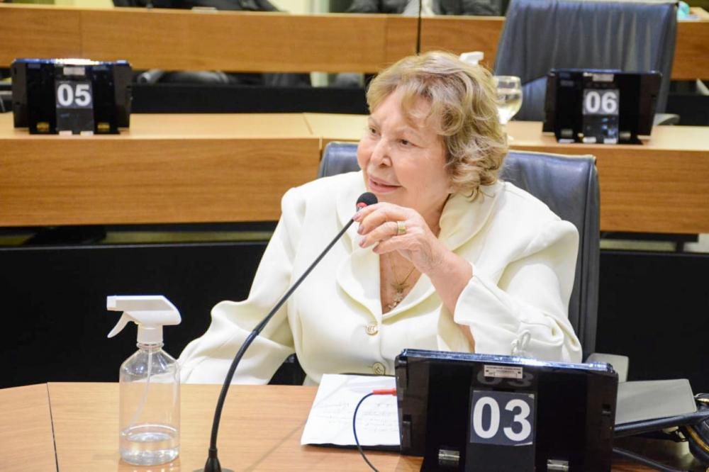 Deputada Francisca Motta - Foto: Assessoria