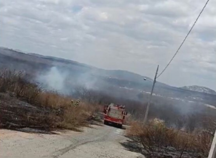 Foto: Reprodução/Redes Sociais