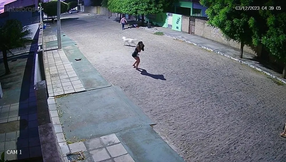  Foto: Reprodução/Circuito de segurança