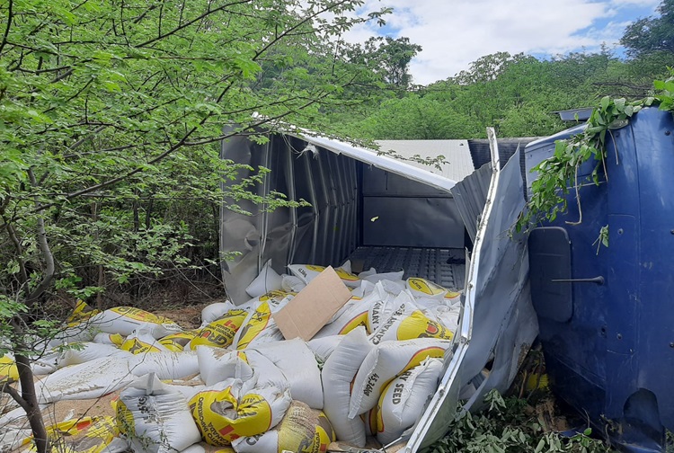 Foto: divulgação/4º BBM