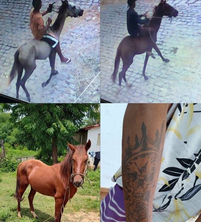 Imagens: Divulgação/DHE