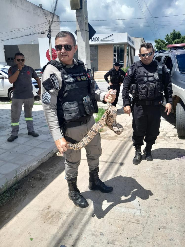 2ºSGT Medeiros Júnior - Foto: Divulgação