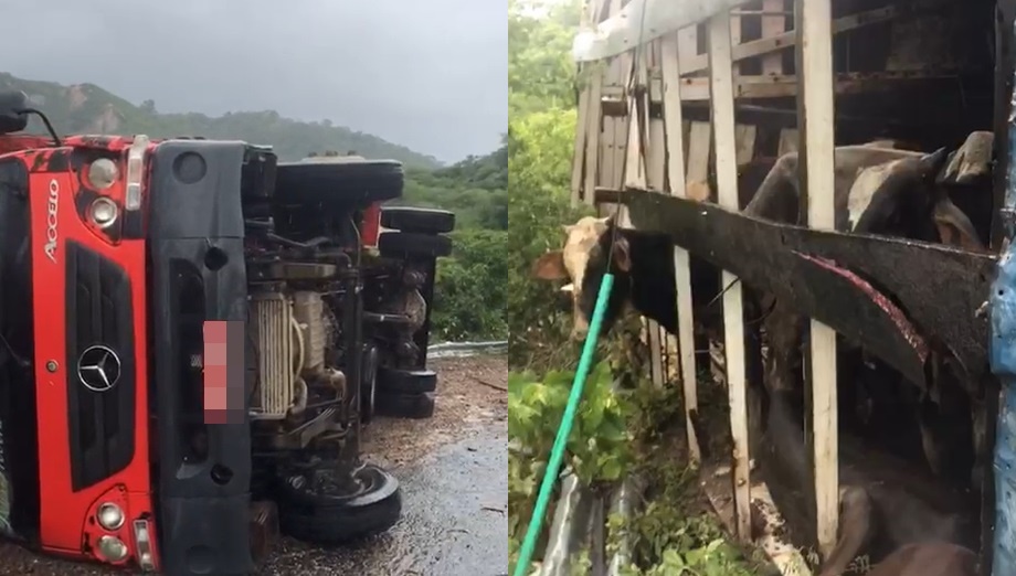 Fotos: Reprodução/Redes Sociais