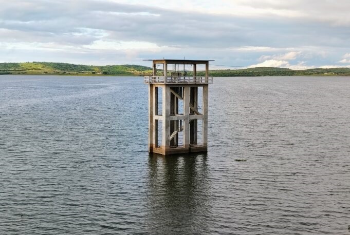 Foto: José Albertino