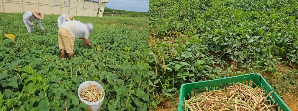 Fotos: Divulgação/PPRN